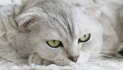 我原本不想提吃瓜入口黑料老吃瓜人都在用一招搞懂证据链