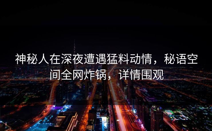 神秘人在深夜遭遇猛料动情，秘语空间全网炸锅，详情围观