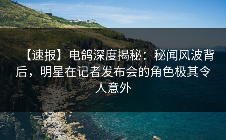 【速报】电鸽深度揭秘：秘闻风波背后，明星在记者发布会的角色极其令人意外