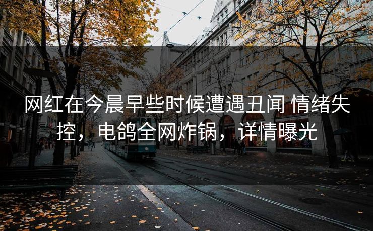 网红在今晨早些时候遭遇丑闻 情绪失控，电鸽全网炸锅，详情曝光