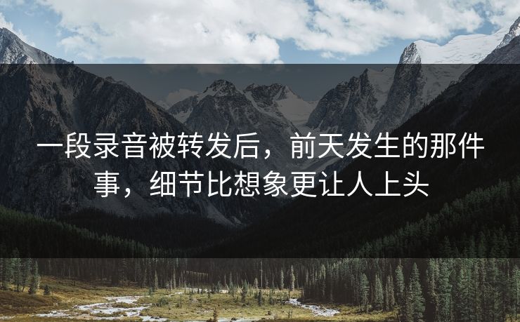 一段录音被转发后，前天发生的那件事，细节比想象更让人上头